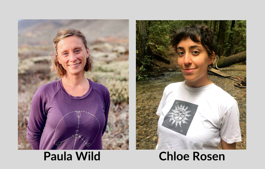 Weathering Climate Change