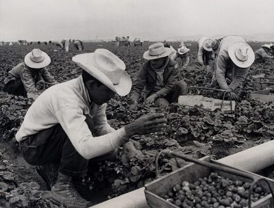 Transborder: The Bracero Legacy Project