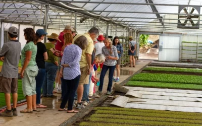 Sustainability Now! Sunday, October 2nd: Open Farm Tours is Back!