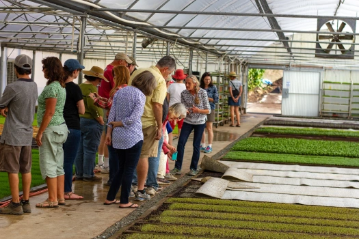 Sustainability Now! Sunday, October 2nd: Open Farm Tours is Back!