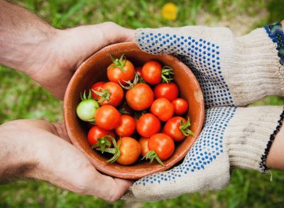 Bahia Brunelle - Garden Sharing