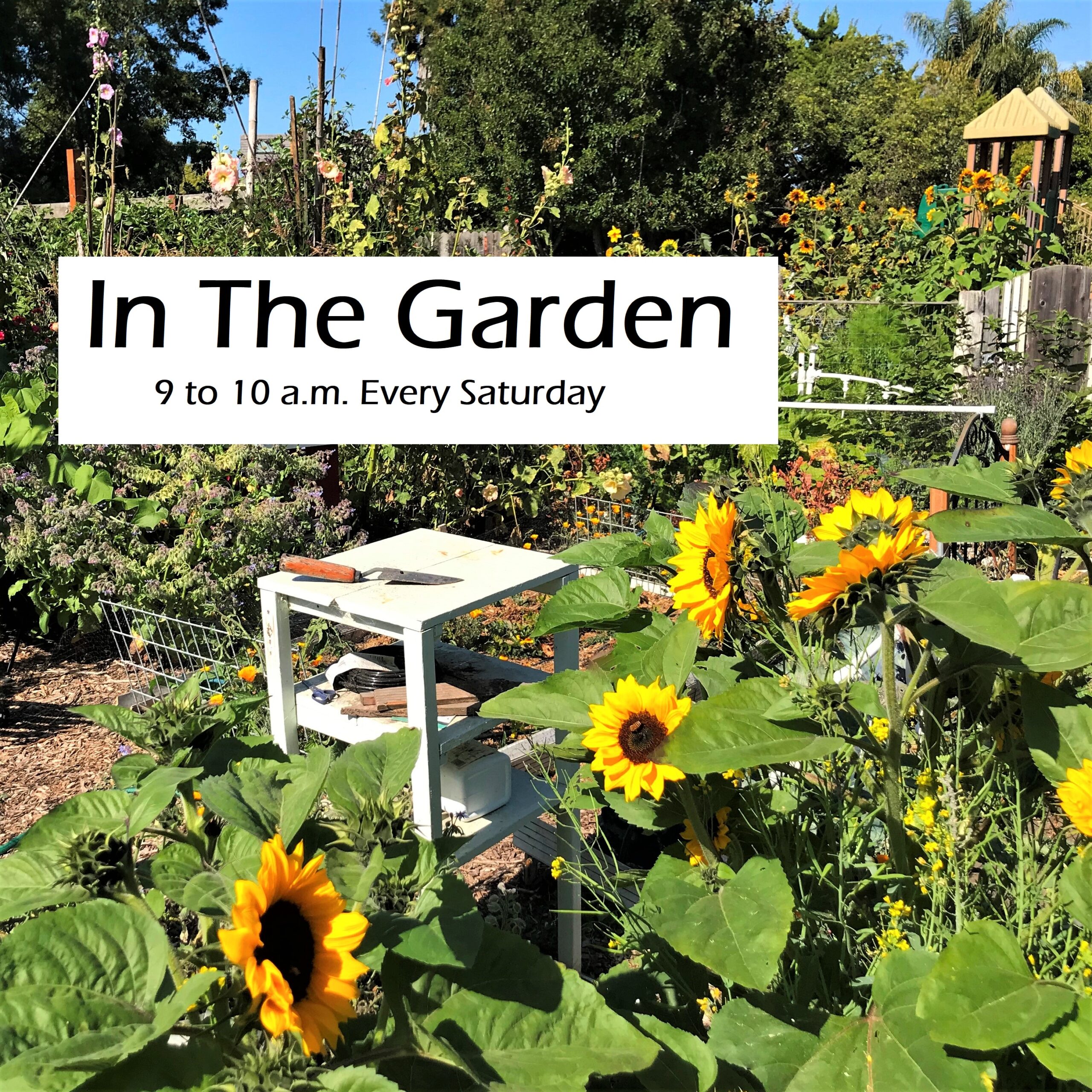 In The Garden from KSQD