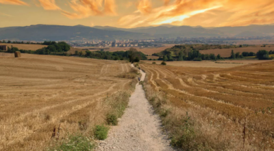 Martha Kendall - Camino on Wheels