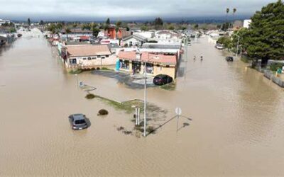 Storm Recovery Resources