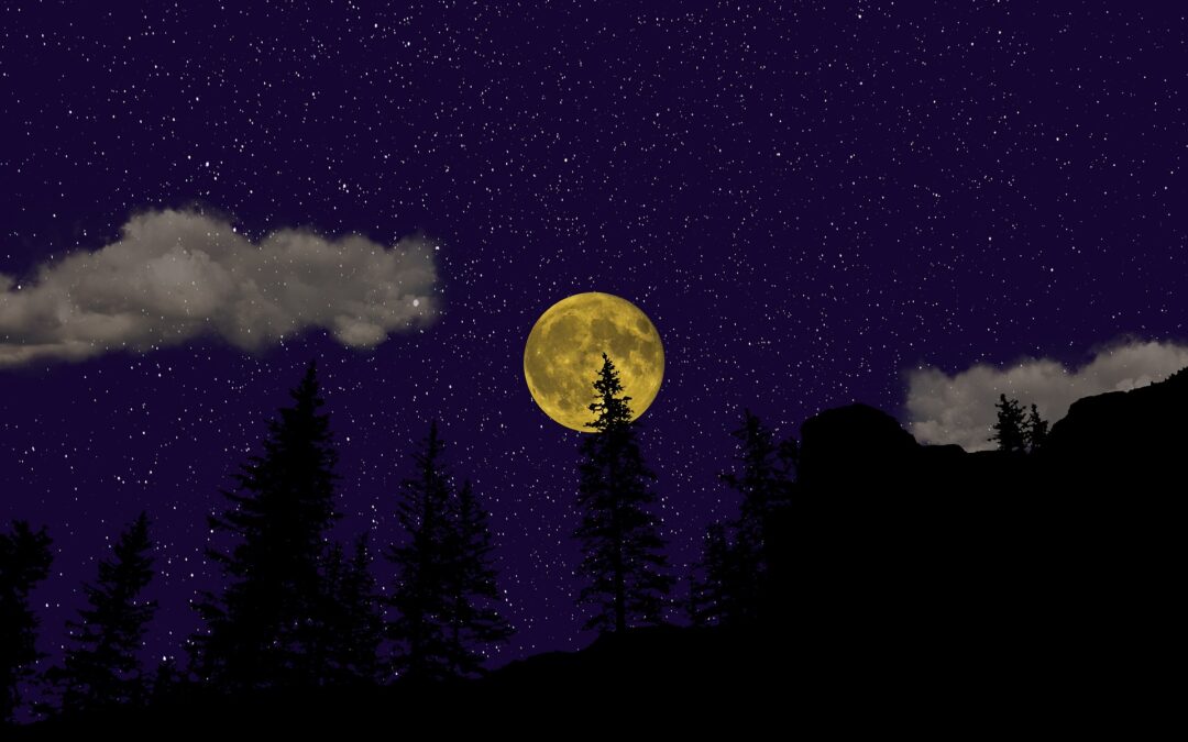 Luminous Darkness Part 2 –  with author Deborah Eden Tull