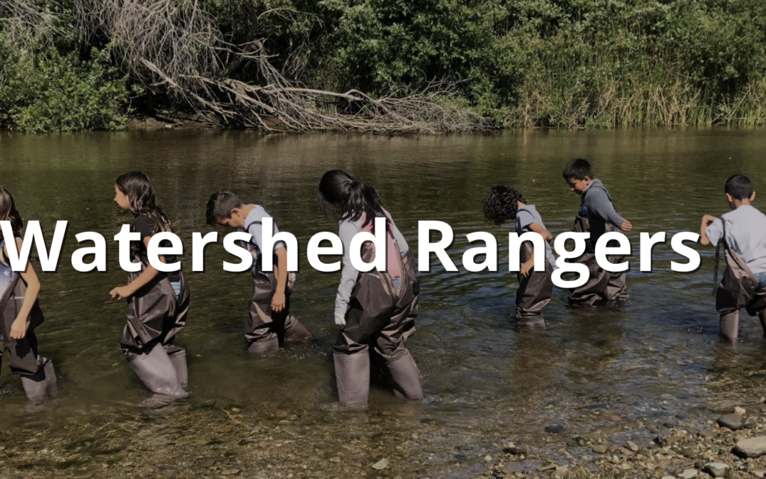 The Watershed Rangers: Budding Scientists Along the San Lorenzo River’s Edge