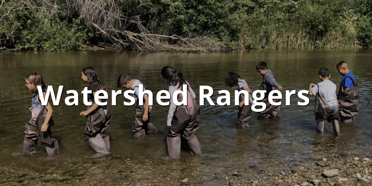 The Watershed Rangers: Budding Scientists Along the San Lorenzo River’s Edge