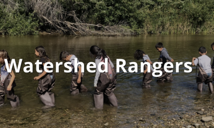 The Watershed Rangers: Budding Scientists Along the San Lorenzo River's Edge