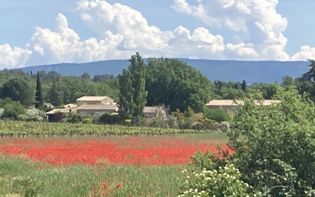 Laurie Corn – France