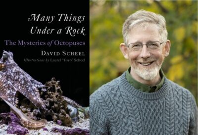 Many Things Under a Rock: The Mysteries of Octopuses