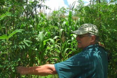 Sustainability Now! Sunday, June 25th, 2023: Can Green Manure Cover Crops End Drought in Africa? With Roland Bunch