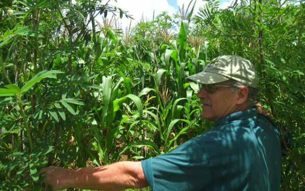 Sustainability Now! Sunday, June 25th, 2023: Can Green Manure Cover Crops End Drought in Africa? With Roland Bunch