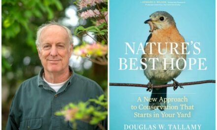 Sustainability Now! Sunday, July 23rd, 2023: Nature’s Best Hope, with Professor Douglas Tallamy