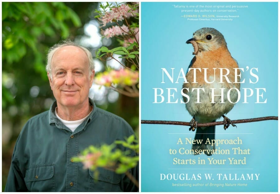 Sustainability Now! Sunday, July 23rd: Nature’s Best Hope, with Professor Douglas Tallamy