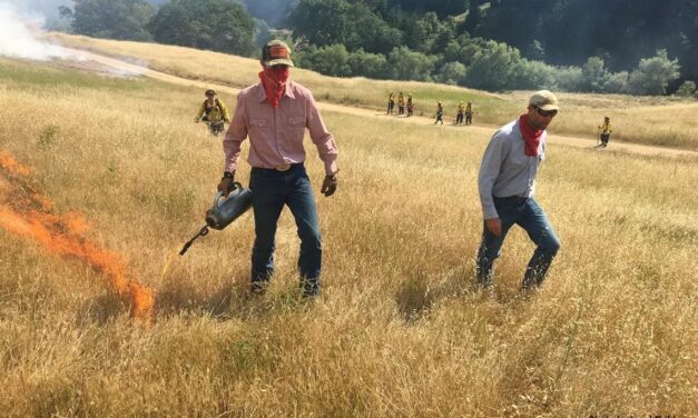 Good burning for ecological health – an interview with Jared Childress of the California Prescribed Burn Association