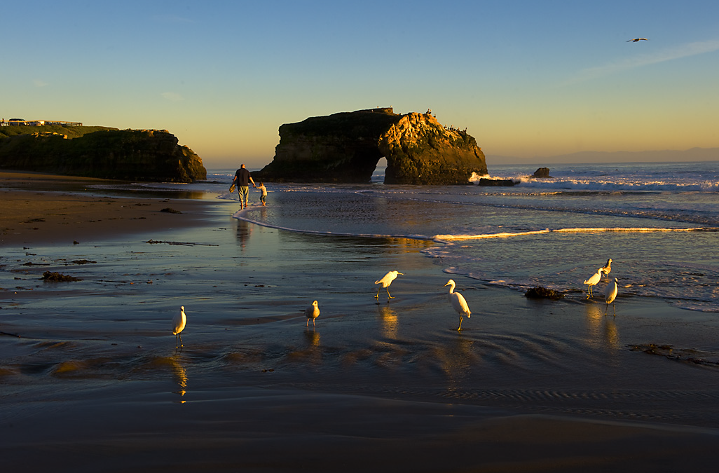 Natural Bridges State Beach- Martha Nitzberg
