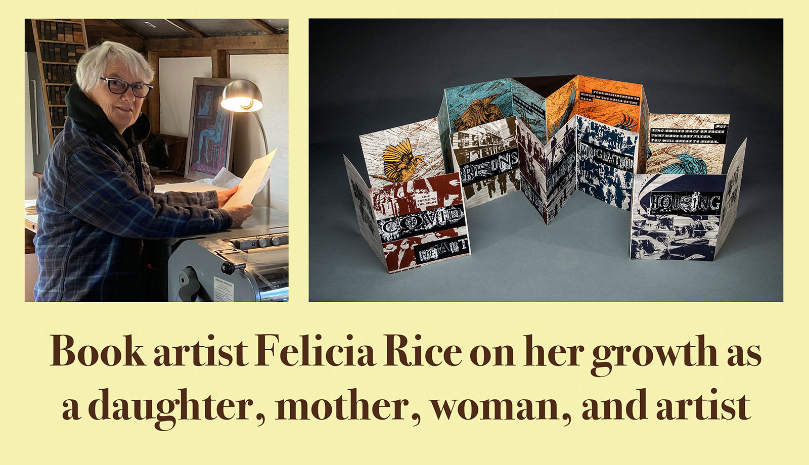 Image for display with article titled Book Artist Felicia Rice on her Evolution as an Artist