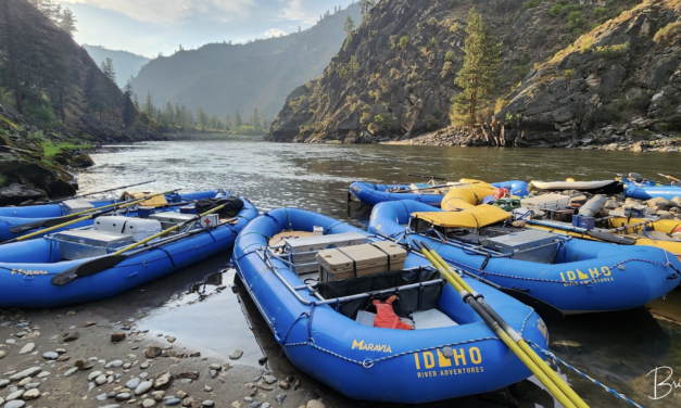 Summer Vacation Rafting along the Salmon River with Tim Bluhm and The Coffis Brothers