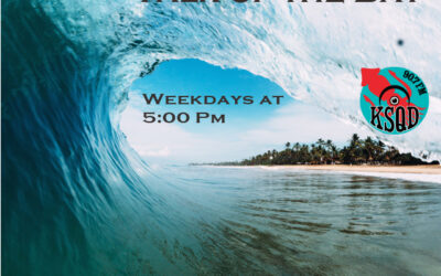 Denise Allen & Ken Reichmann of Indivisible of Santa Cruz County