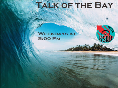 Denise Allen & Ken Reichmann of Indivisible of Santa Cruz County