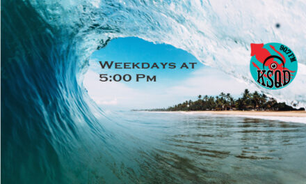 Denise Allen & Ken Reichmann of Indivisible of Santa Cruz County