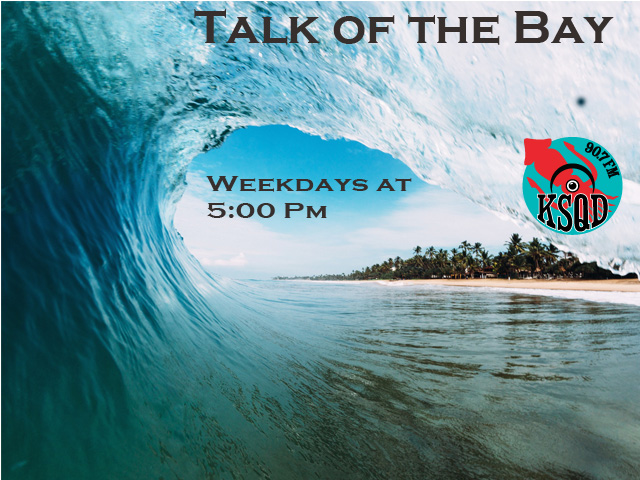 Denise Allen & Ken Reichmann of Indivisible of Santa Cruz County