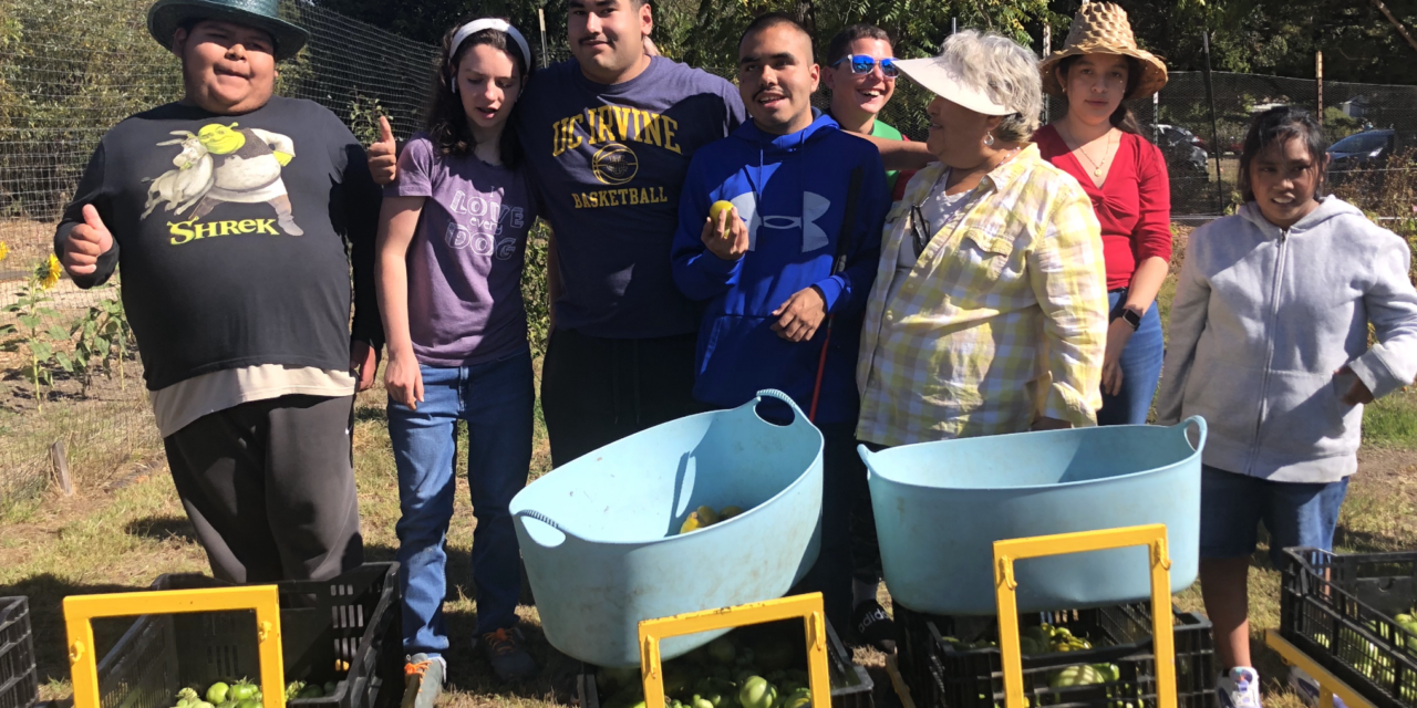 Growing Meaningful Futures for the Disabled at Common Roots Farm