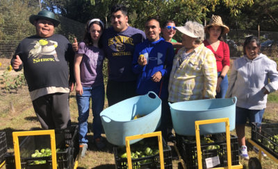 Growing Meaningful Futures for the Disabled at Common Roots Farm