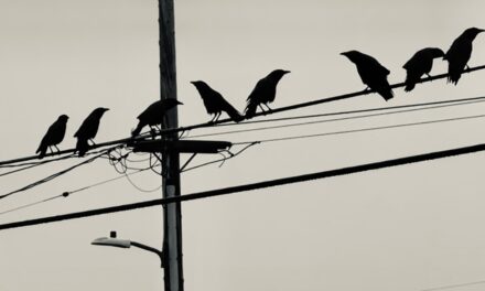 Alan Ritch – Crows