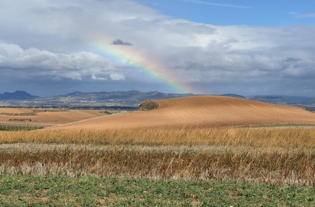 Chris Krohn is a Pilgrim Walking El Camino de Santiago across Spain