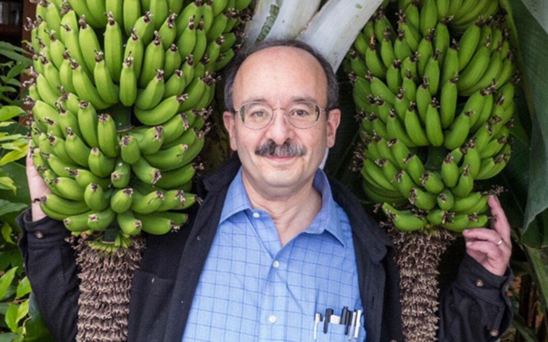 Sustainability Now! Sunday, January 21st: The Path to an Energy Efficient, Electric Future, with Amory Lovins