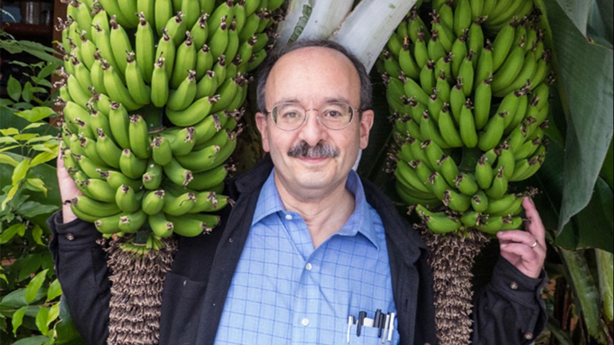 Sustainability Now! Sunday, January 21st: The Path to an Energy Efficient, Electric Future, with Amory Lovins