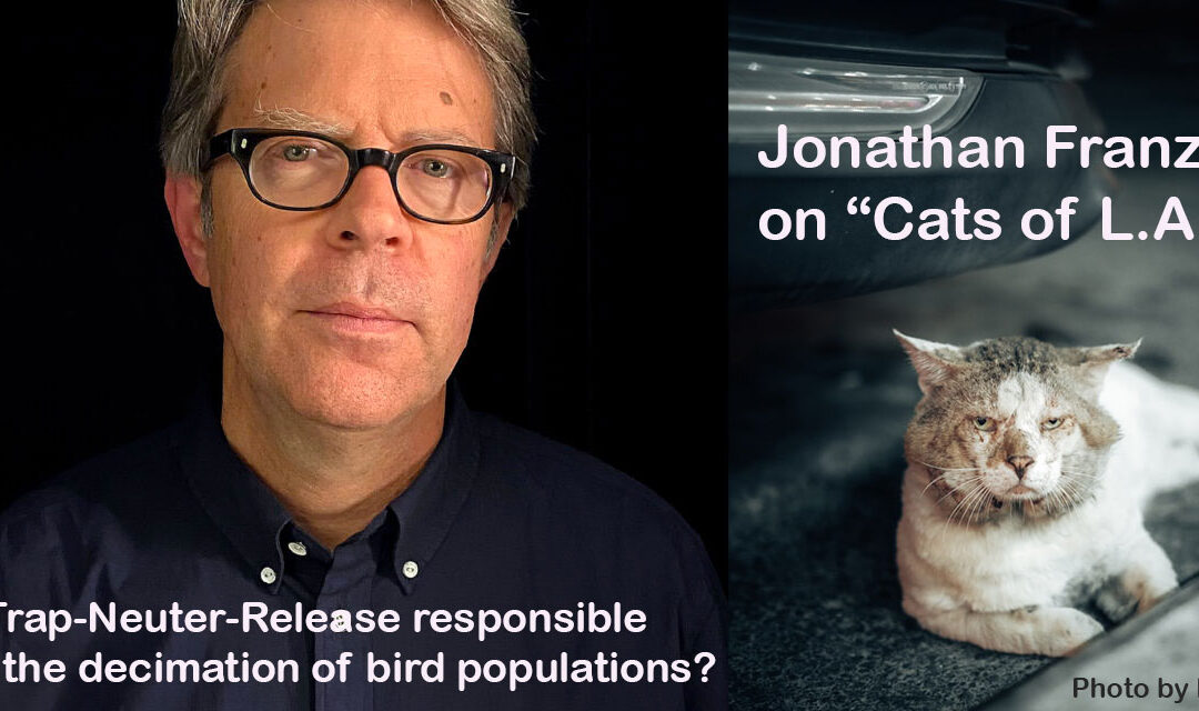 Exclusive: Author Jonathan Franzen takes on the community of feral cat lovers