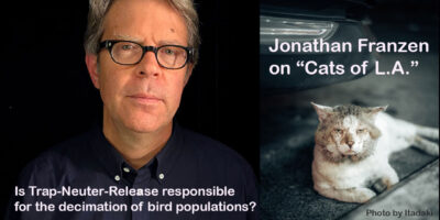 Exclusive: Author Jonathan Franzen takes on the community of feral cat lovers