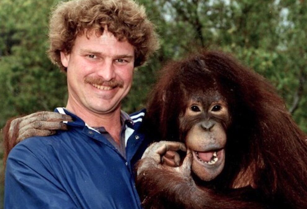 Steve Nagle – Kayla