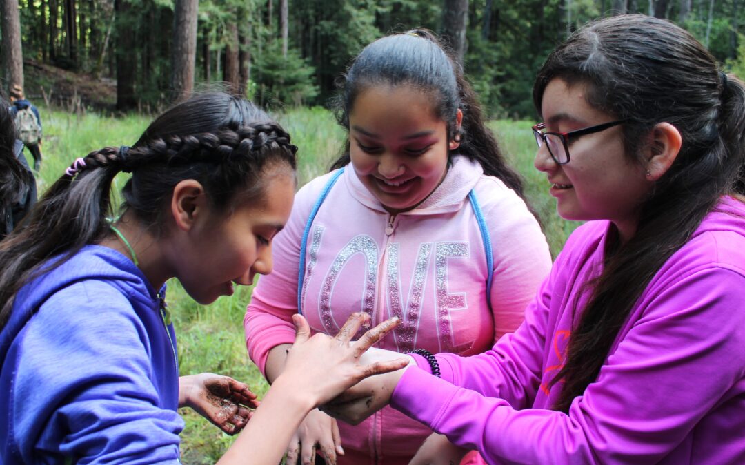 Environmental Literacy – Amity Sandage