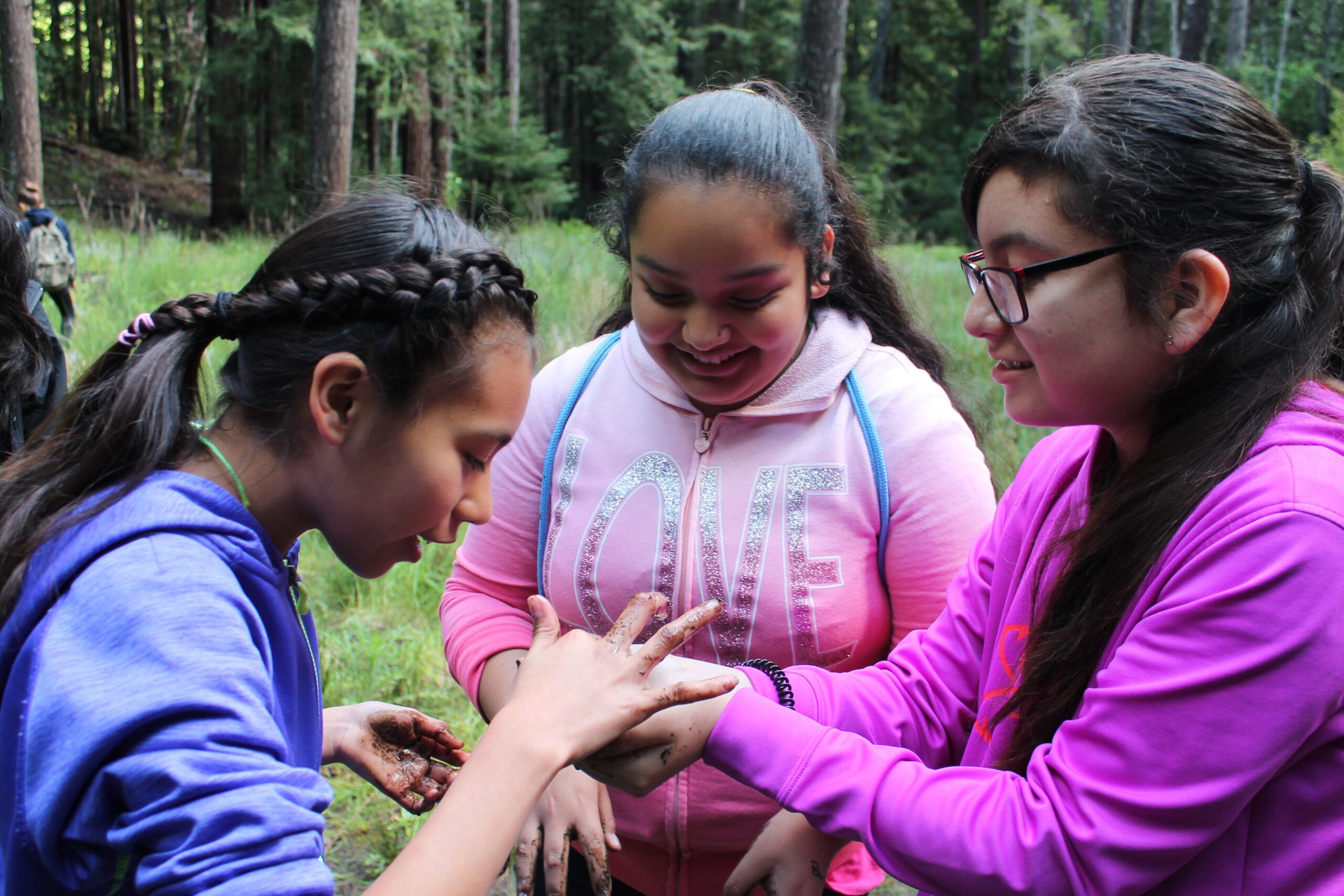 Environmental Literacy – Amity Sandage