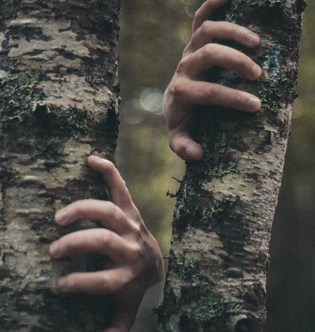 Olga Cossi – Klutz