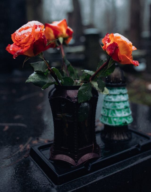 Image for display with article titled Jane McCormick Crowley – All the Flowers