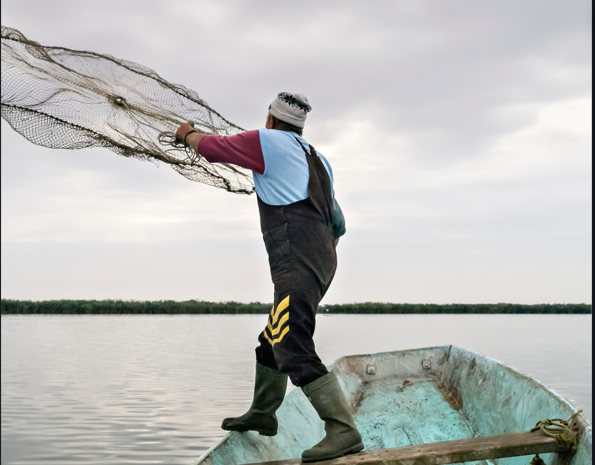 Image for display with article titled Talk of the Bay: Monterey Bay Fisheries Trust