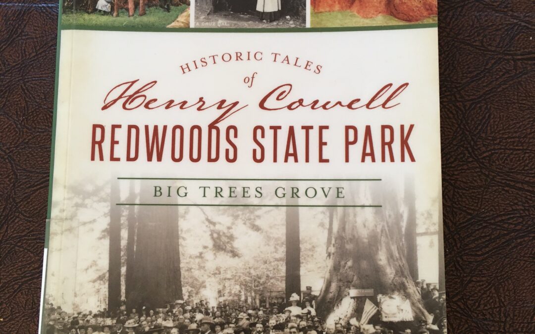 Deborah Osterberg – Henry Cowell Redwoods State Park