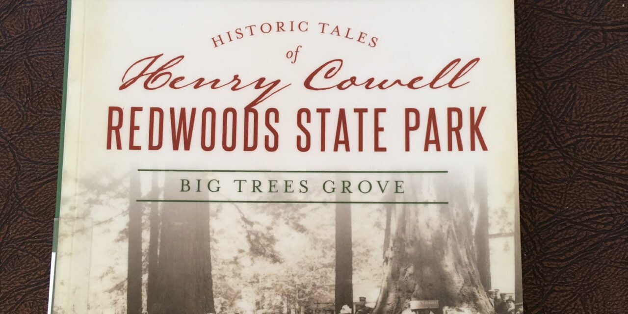 Deborah Osterberg – Henry Cowell Redwoods State Park