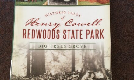 Deborah Osterberg - Henry Cowell Redwoods State Park