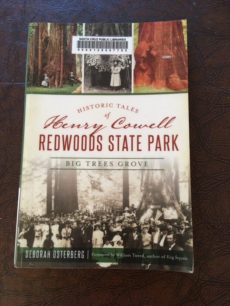 Deborah Osterberg – Henry Cowell Redwoods State Park