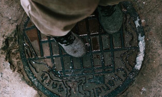 Ed Weingold – Adlai Stevenson and the Manhole Cover
