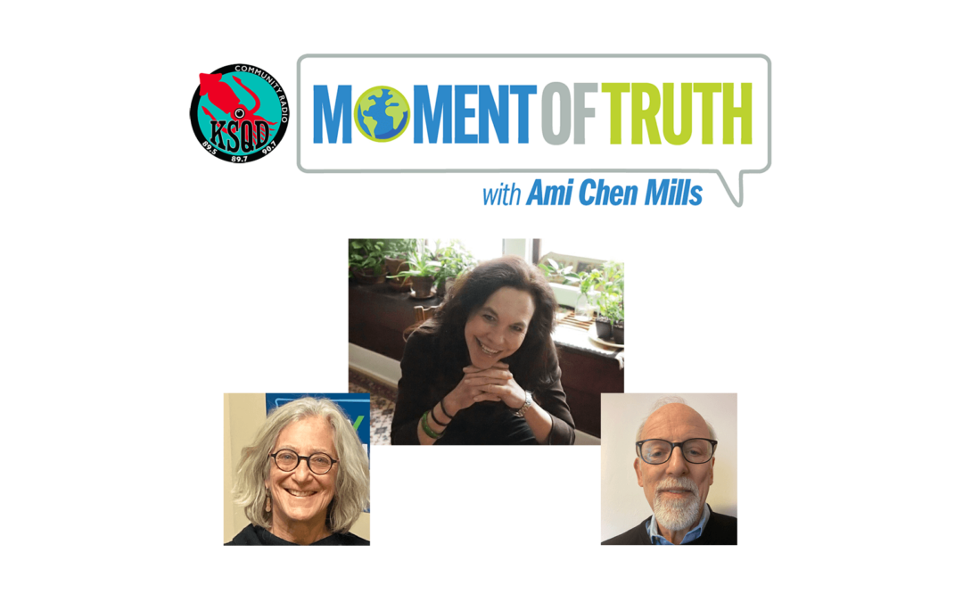 “What Should We Do??” Action Items for the Coming Election