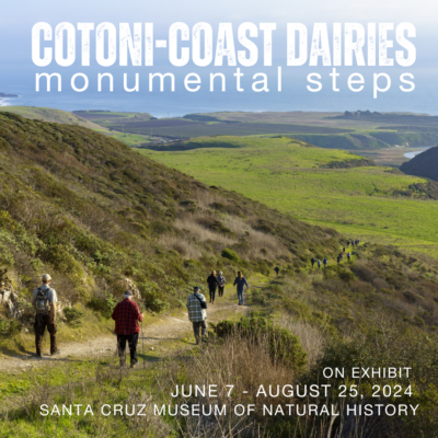 Image for display with article titled ExploringMontereyBay: Felicia Van Stolk – Cotoni-Coast Dairies