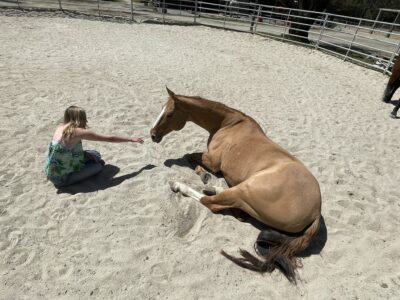 ExploringMontereyBay: Kristin Praly - Horse Sense Education