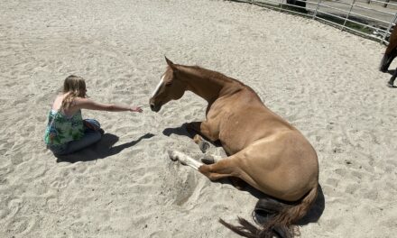 ExploringMontereyBay: Kristin Praly – Horse Sense Education