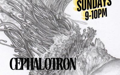 Cephalotron: Sundays 9-10pm